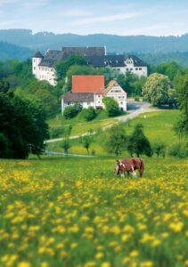 Schloß Hohenfels am Bodensee